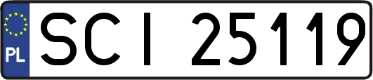 SCI25119