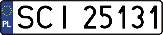 SCI25131