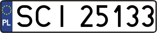 SCI25133