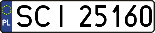 SCI25160