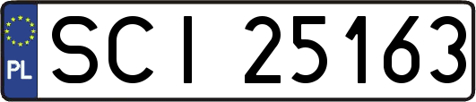 SCI25163