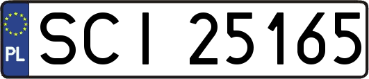 SCI25165
