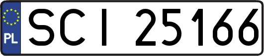 SCI25166