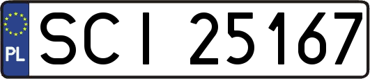 SCI25167