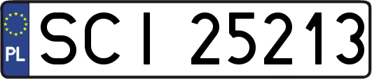 SCI25213