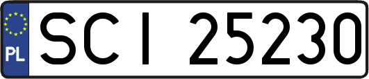 SCI25230