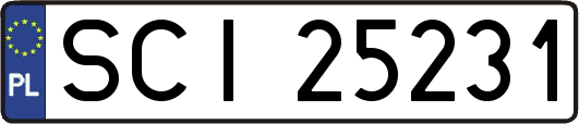 SCI25231