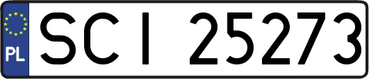 SCI25273