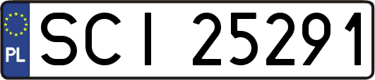 SCI25291