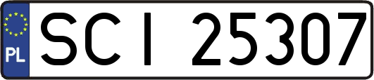 SCI25307