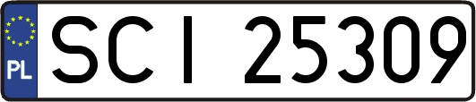 SCI25309