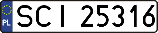 SCI25316