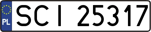 SCI25317