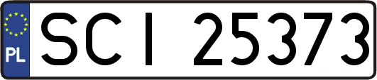 SCI25373