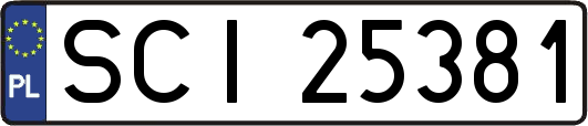SCI25381
