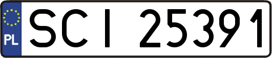 SCI25391