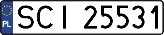 SCI25531