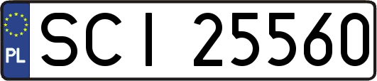 SCI25560