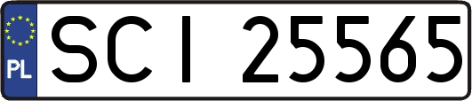 SCI25565