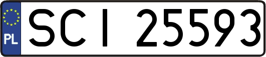 SCI25593