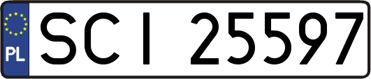 SCI25597