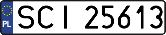 SCI25613