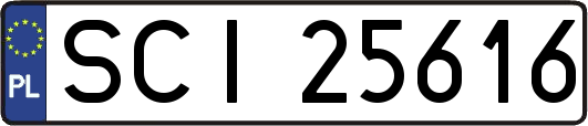 SCI25616