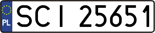 SCI25651