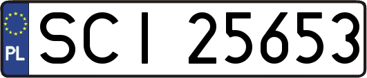 SCI25653