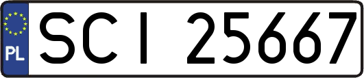 SCI25667