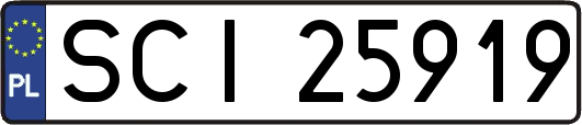 SCI25919