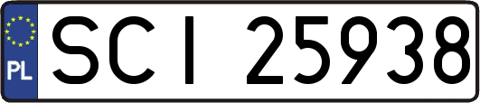 SCI25938