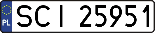 SCI25951