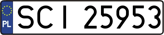SCI25953