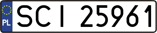 SCI25961