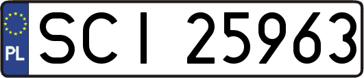 SCI25963