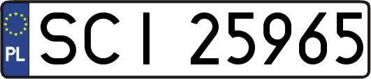 SCI25965