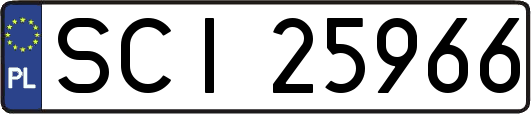 SCI25966