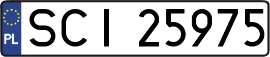 SCI25975