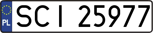 SCI25977