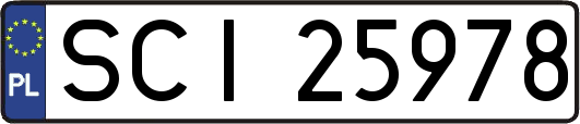 SCI25978