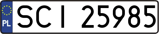 SCI25985