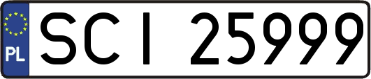 SCI25999