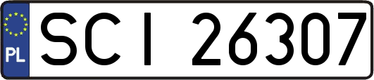 SCI26307