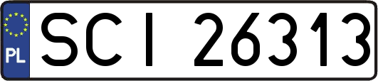 SCI26313
