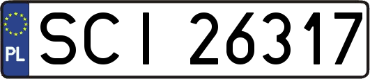 SCI26317