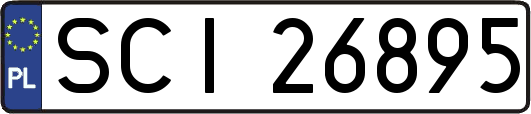 SCI26895