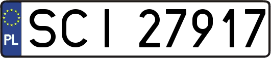 SCI27917