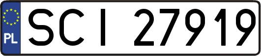 SCI27919