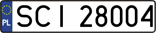 SCI28004